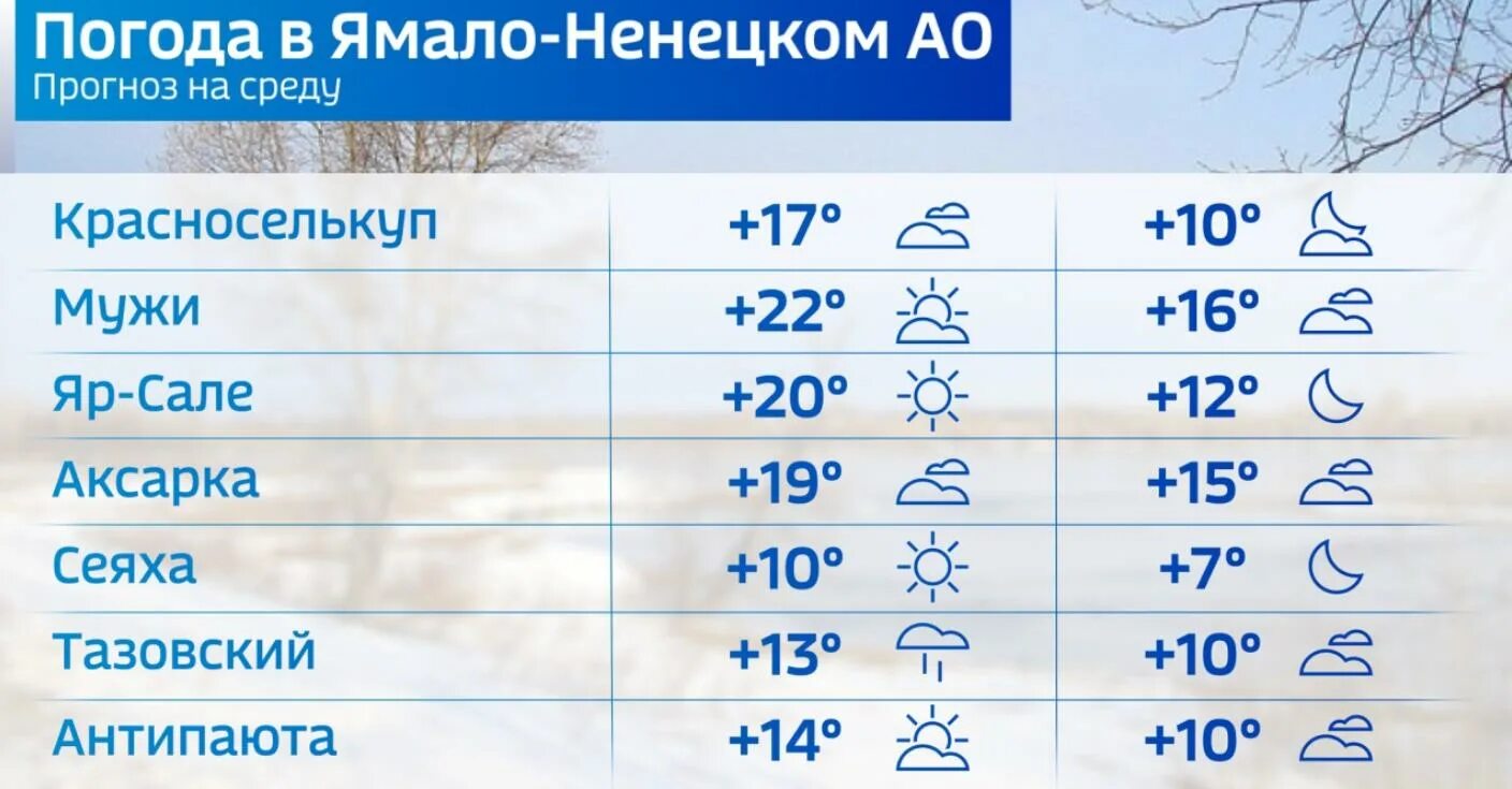 Погода салехард рп5 на неделю. Салехард климат. Погода Салехард. Салехард погода летом. Ямал температура по месяцам.