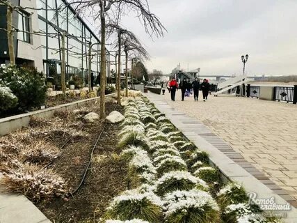 Подслушано ростов на дону