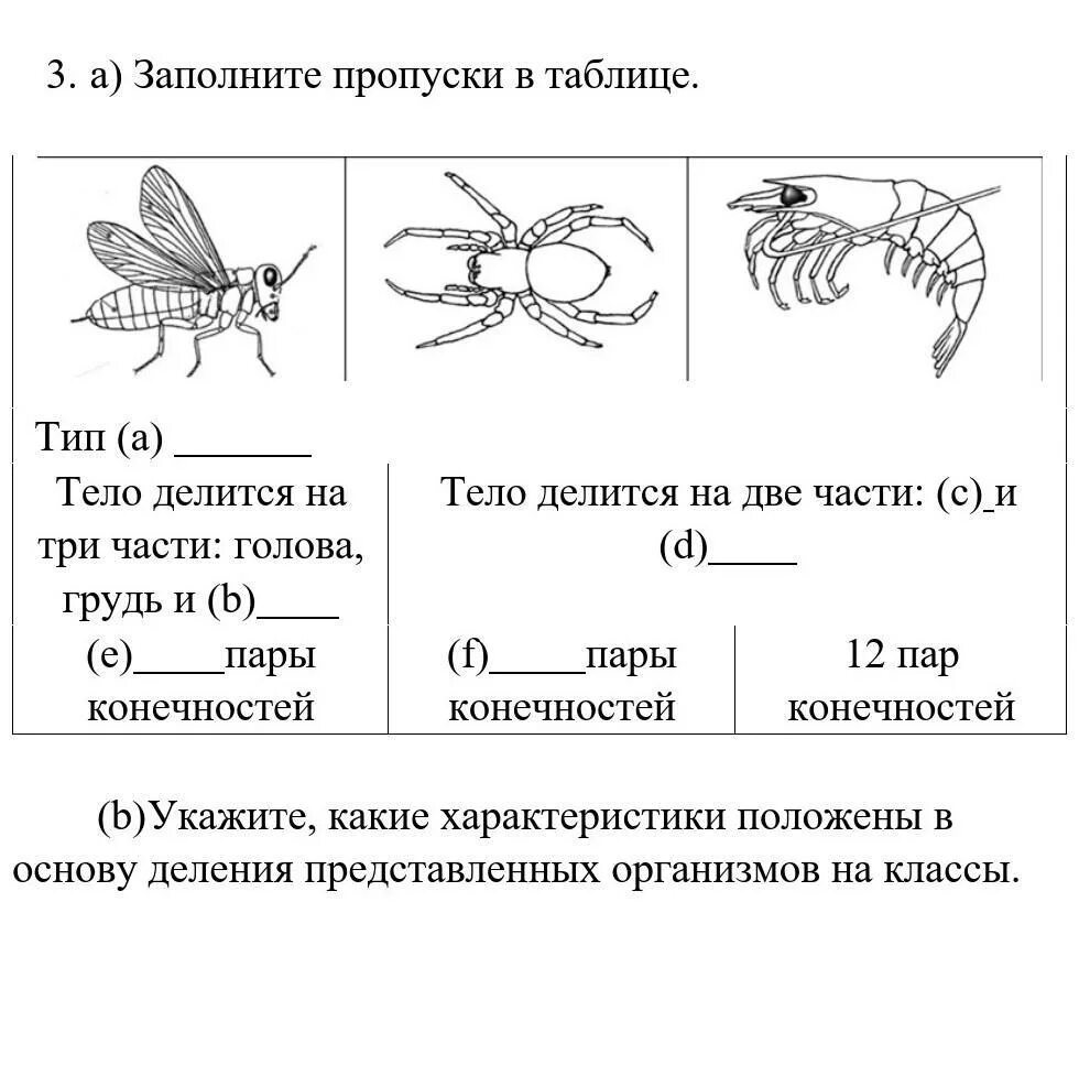 Используя рисунок заполните пропуски. Заполните пропуски в таблице. Заполните пропуски (а-е) таблице. Заполните пропуски в таблице укажите. Таблица для заполнения пропусков.