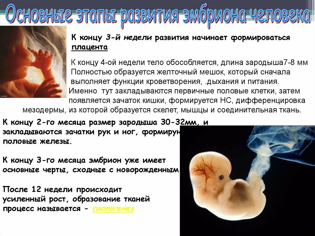 16 недель ощущения форум