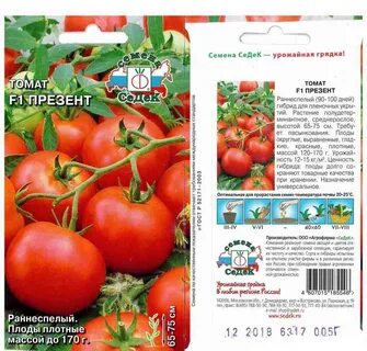 Томаты кировской селекции для теплиц лучшие сорта