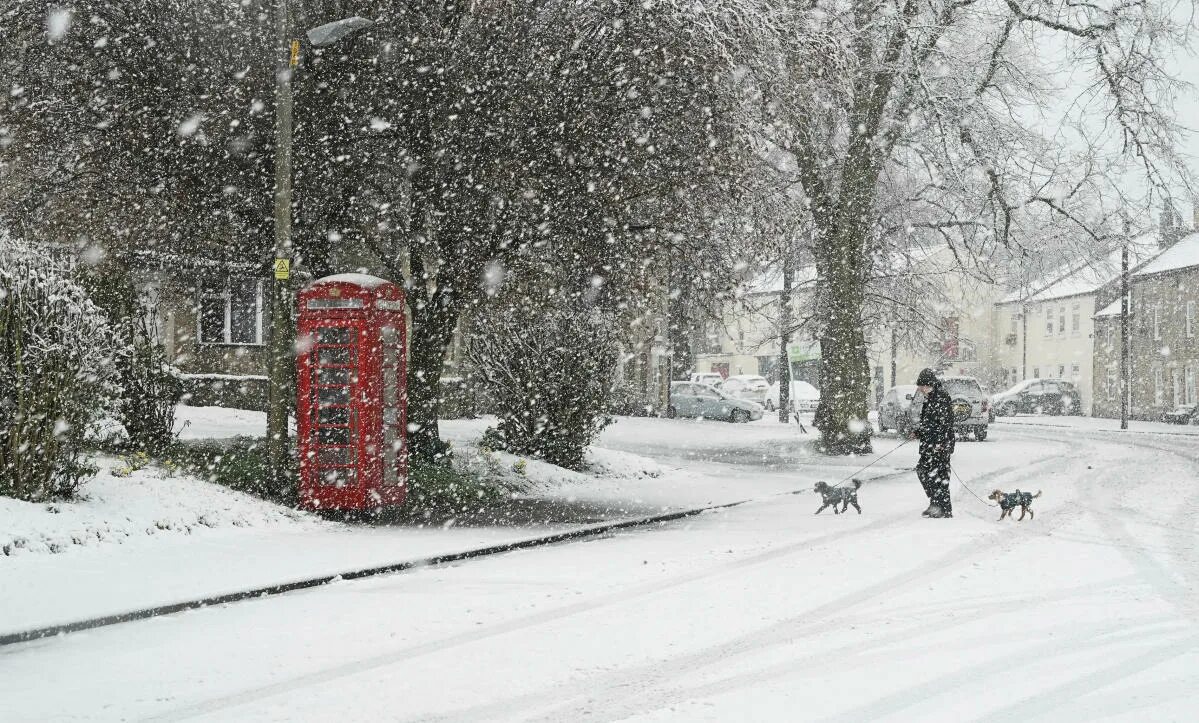 The most snowy