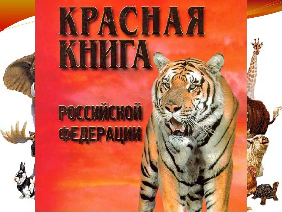 Красная книга. Красная книга России. Красная книга обложка. Обложка красной книги РО. Бесплатные книги рф