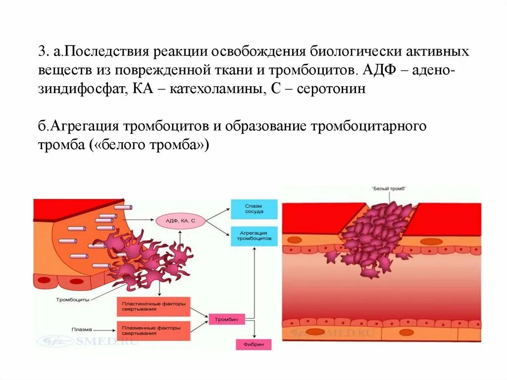 Клопидогрел агрегация тромбоцитов механизм. Адгезия и агрегация тромбоцитов. Реакция высвобождения тромбоцитов. Тромбоциты и их роль в свертывании крови. Образование тромба попадание факторов свертывания в плазме