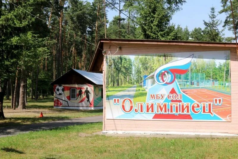 Детский лагерь олимпиец курск. Спортивно оздоровительный лагерь олимпиец курск. Лагерь олимпиец железногорск курская область. Санаторий олимпиец курск. Спортивно-оздоровительный комплекс олимпиец, курск.