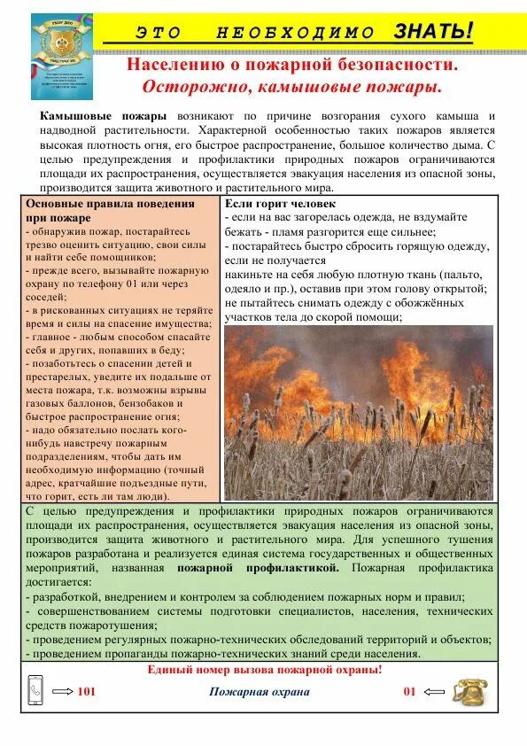 Что является целью противопожарной пропаганды