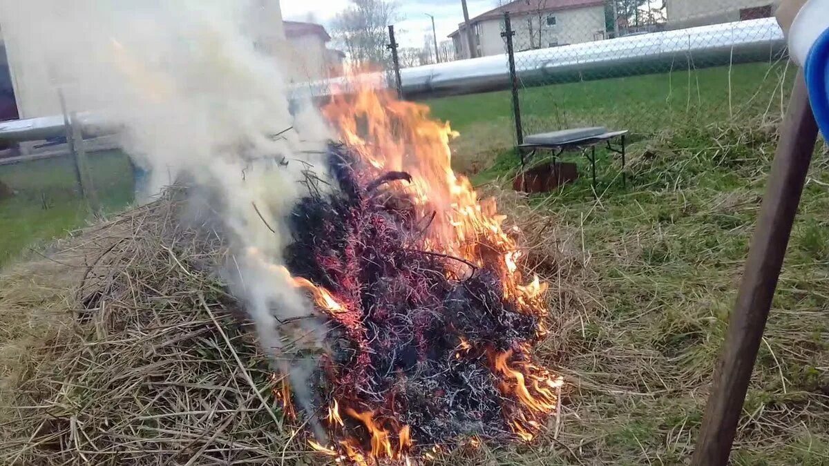 Жечь костры на участках. Костры в огороде. Сжигание травы на участке. Сжигают листья в саду. Жечь костры на участках.
