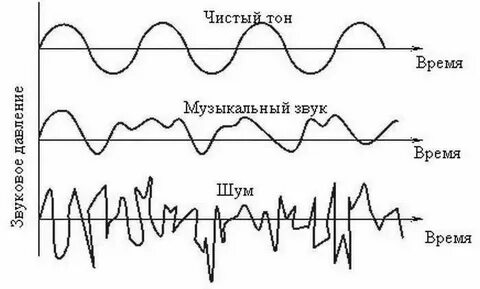 Шума тону
