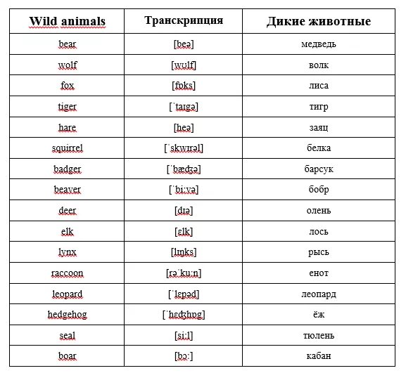 Bird транскрипция на английском языке. Животные на английском языке с переводом и произношением на русском. английские слова с переводом. названия животных на английском с транскрипцией. транскрипция английских слов.