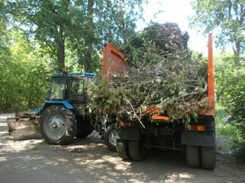Вывоз веток с участка цена. Обрезчик деревьев на тракторе т150. Вывоз порубочных остатков. Утилизация спиленных деревьев.