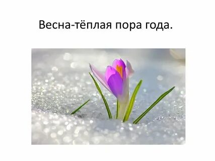 В теплом пору