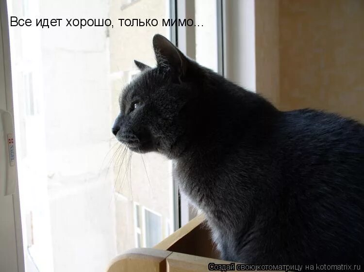 Неплохо идем