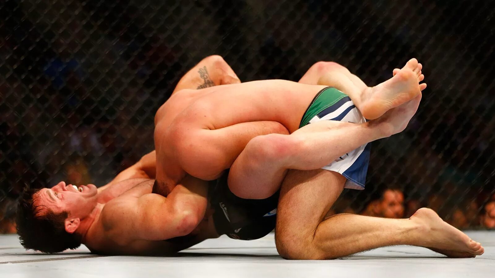 Сантос юфс женщина. Умар нурмагомедов юфс. Гаджимурад боец юфс. Ислам махачев дэн хукер. Сабмишен что это.