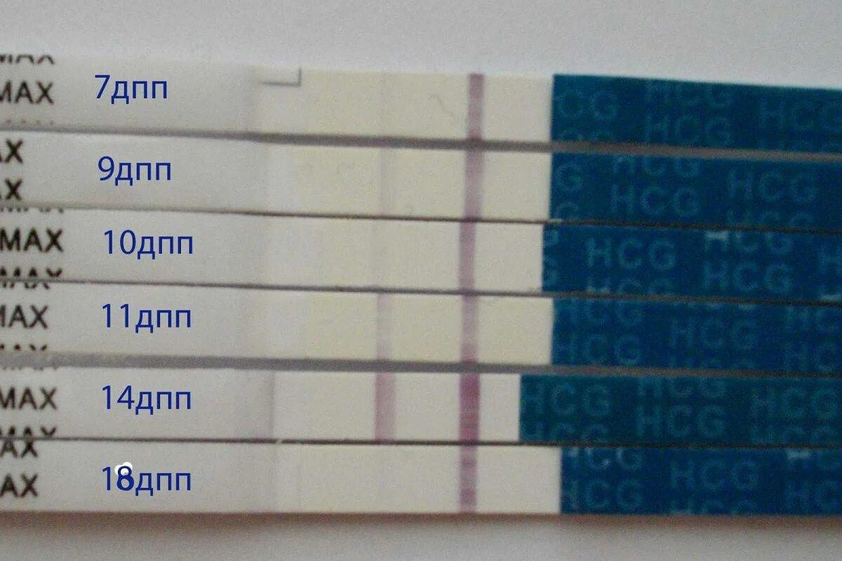 9 день после. Тесты после эко. Тест на беременность после эко. Тесты после подсадки. Тесты после подсадки эмбрионов.
