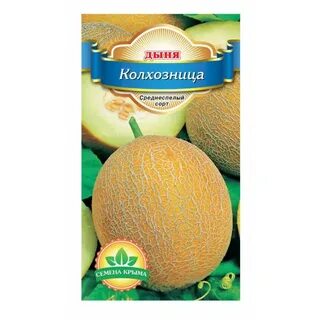 Дыня колхозница описание