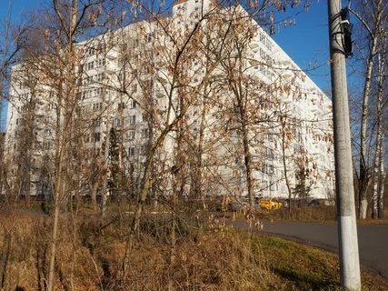 Монино щелковский