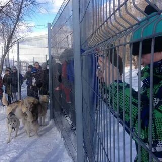 Зооферма шихово