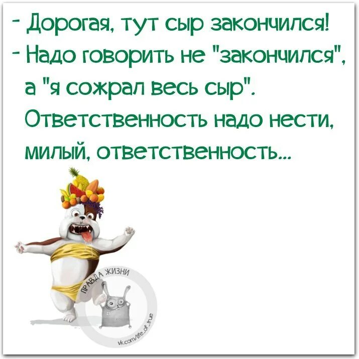 Милый сыр закончился. Дорогой у нас сыр закончился. У нас сыр закончился ответственность. Ответственность за жизнь цитаты. Тут так сыро