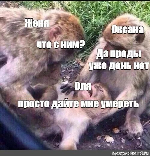 Мемы приколы. Дацье мне салкойно умперкть. Средневековье юмор. Я тебе сдохнуть не дам. Мне плохо тебе всегда плохо.
