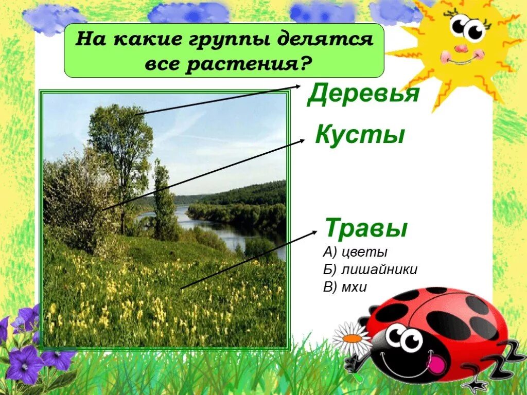 Виды сообщений 1 класс окружающий мир. Дикорастущие и культурные растения. деревья дикорастущие и культурные. дикорастущие растения и культурные растения. дикорастущие и культурные растения 2 класс.