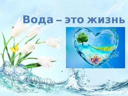 Вода это мы
