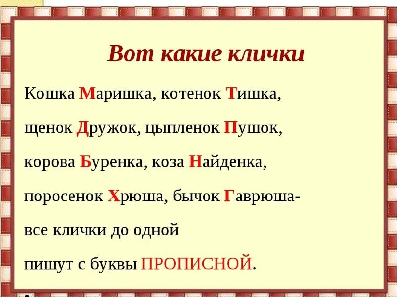 Кличка цыпленка 2 класс. Имена для цыплят. Кличка цыпленка. Имена для птенцов. Клички цыпленка список русские.