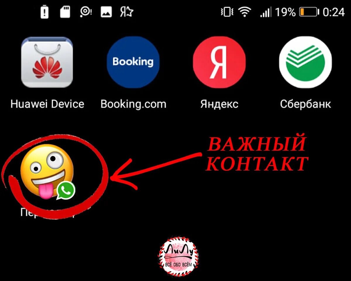 Секретные фишки ватсап. Интересные фишки вацап. Секреты в ватсапе. Секретные функции ватсап на андроид. Секреты ватсап.
