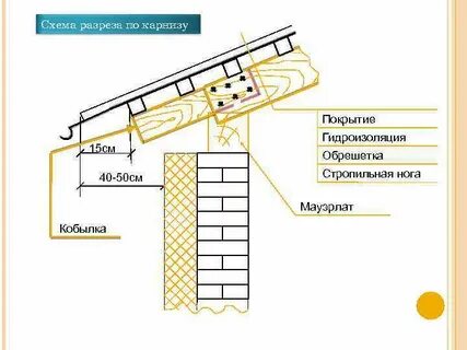 Размер кобылки