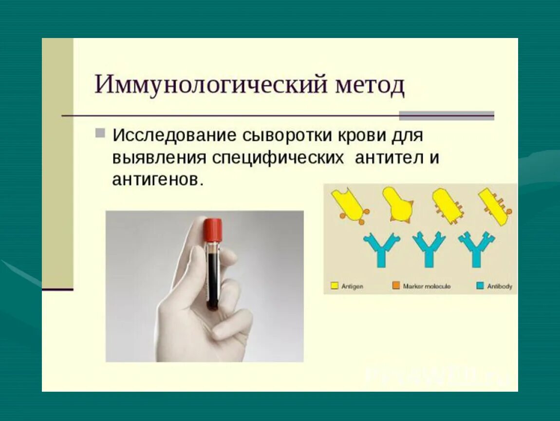 Сыворотка крови диагноз. Иммунологические и серологические методы диагностики. Выявление антител метод исследования. Методы выявления антител иммунология. Метод выявления в сыворотке крови антител.