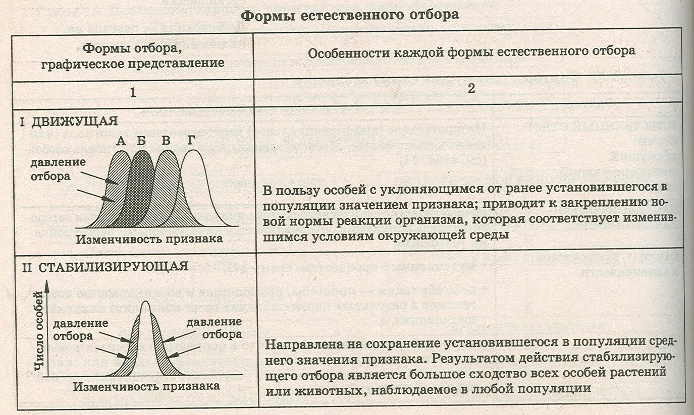 Пользуясь рисунком определите какую форму отбора. Диаграммы разных форм естественного отбора. типы естественного отбора графики. формы естественного отбора характеристика график. формы естественного отбора таблица график.
