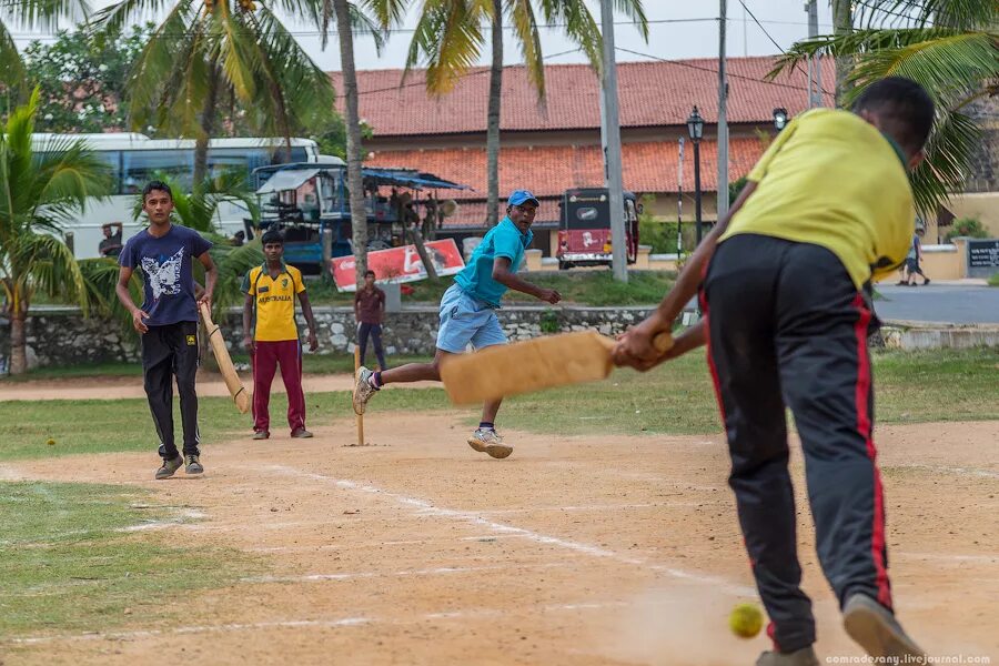 Cricket спорт. Шри ланка спорт. Sri lanka cricket. Сборная шри ланки по крикету. Шри ланка стрельба.