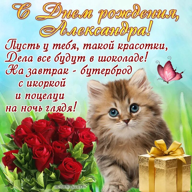 Картинки с днем александры. С днём рождения женщине. Поздравления с днём рождения женщине. Поздравления с днём рождения девушке. Поздравления с днём рождения девушке красивые.