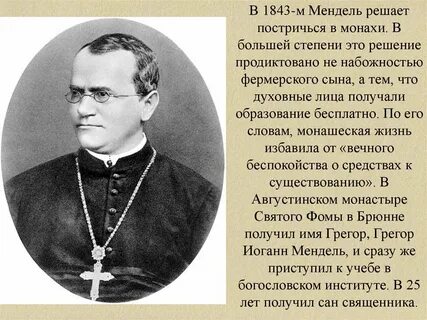 Мендель как читается