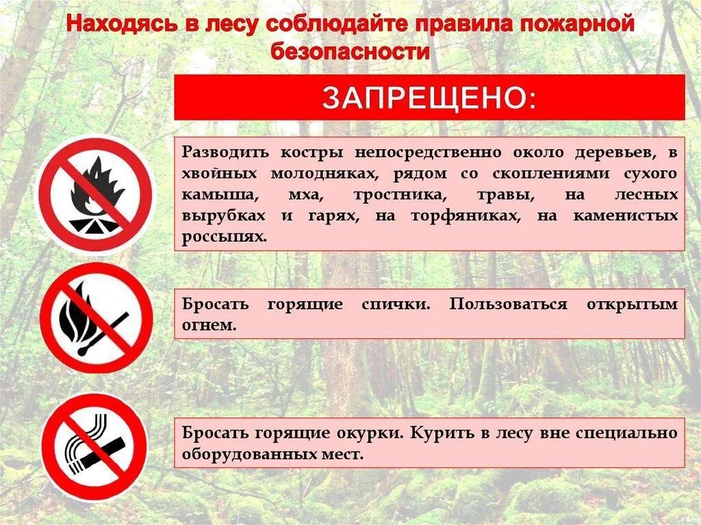 Правила пожарной безопасности запрещают. Безопасность в лесу. Правила безопасности в лесу. Правила пожарной безопасности в лесу. Противопожарные правила в лесу.