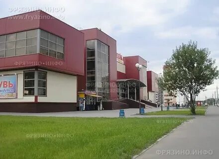 Фрязино 60 лет 10
