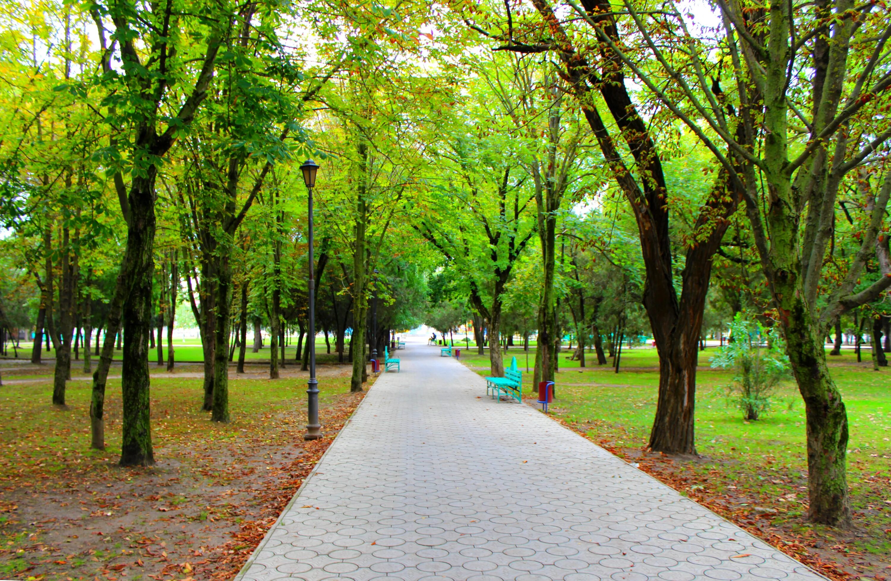 Городской парк Темрюка. Армавир парк. Парк Пушкина Темрюк. Парк город Темрюк. Информация про парк