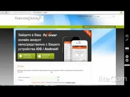 Wallet инструкция на русском