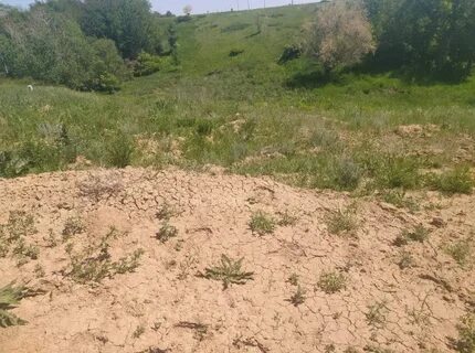 Погода оренбургская область илекская