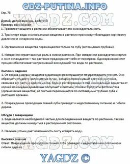 Биология 6 класс сивоглазов параграф 17