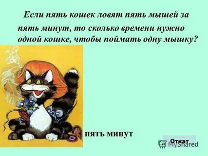 5 мышь 5 минут ловит