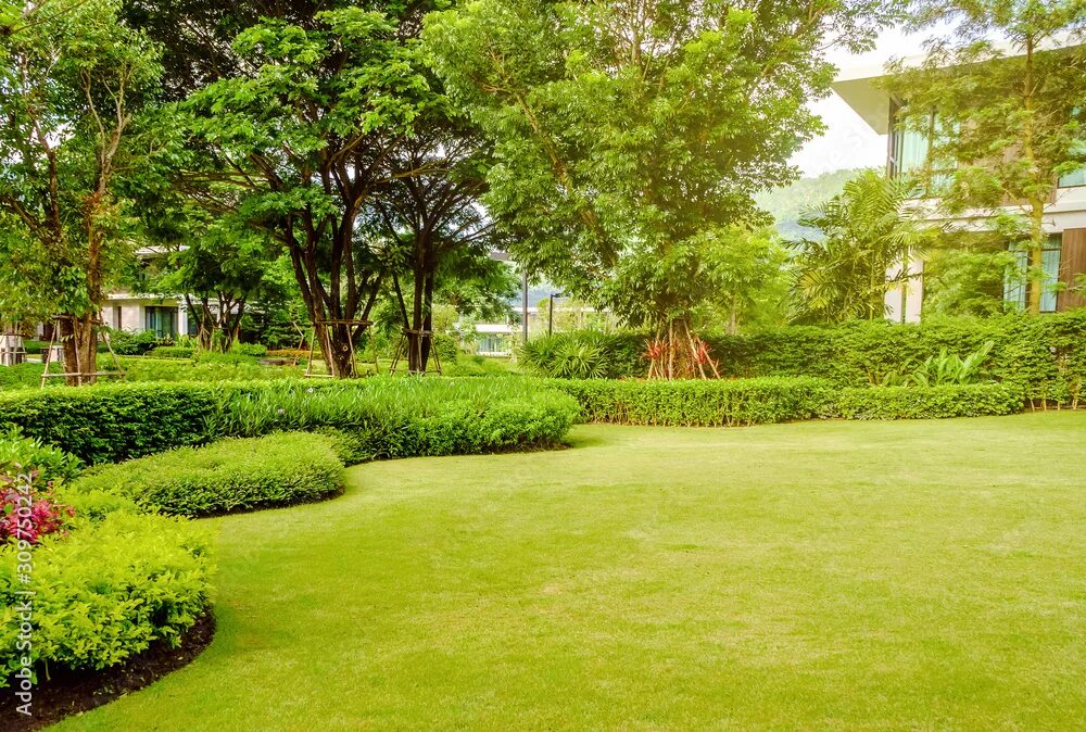 Сады джона брукса. Форест гарден садик. In the garden green. Ландшафт геопластика лесного участка. Зеленый сад.