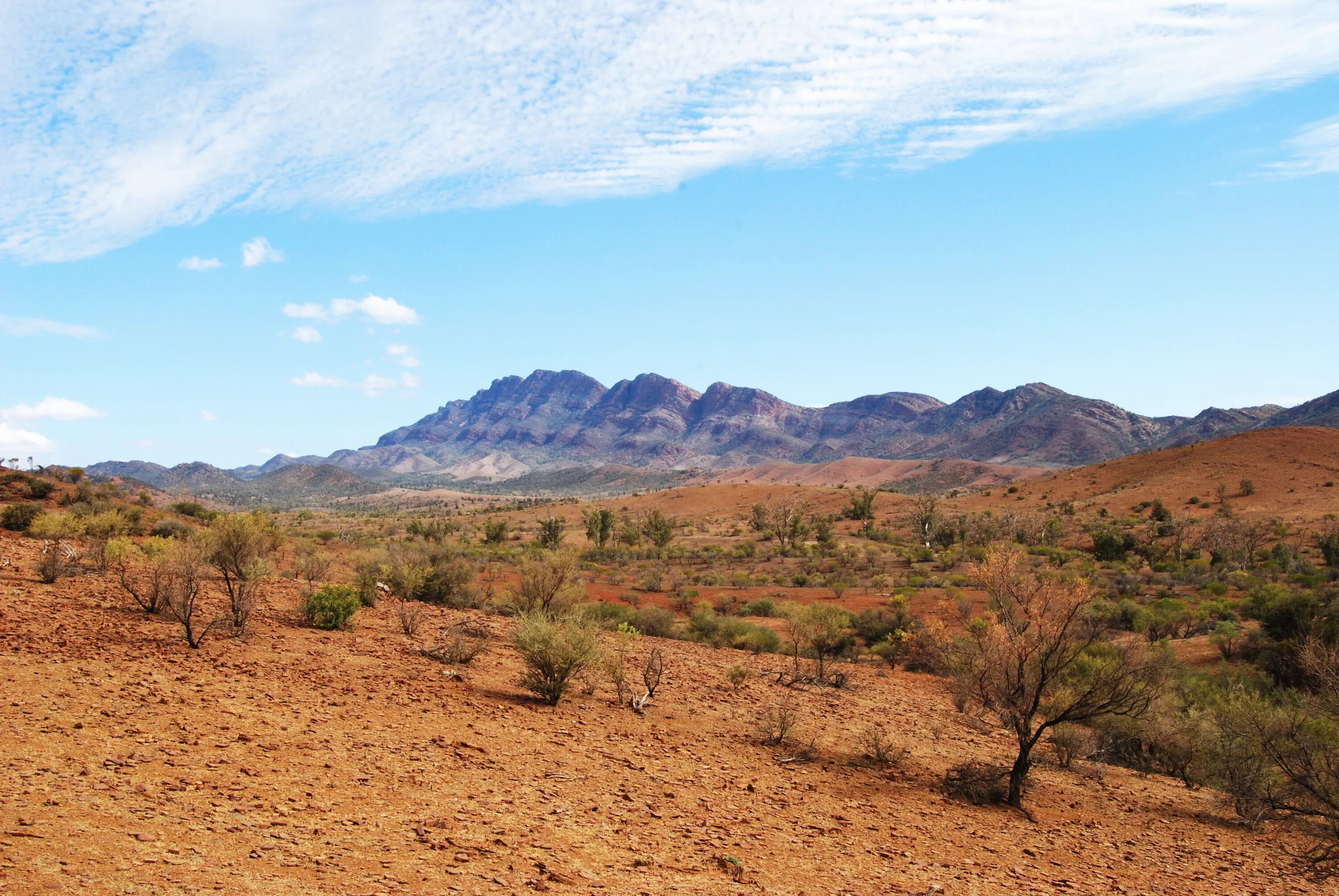 Засушливые области австралии. Пустыни и полупустыни Австралии. Горы: хребет Флиндерс. Хребет Флиндерс в Австралии. Буш полупустыни Австралии.