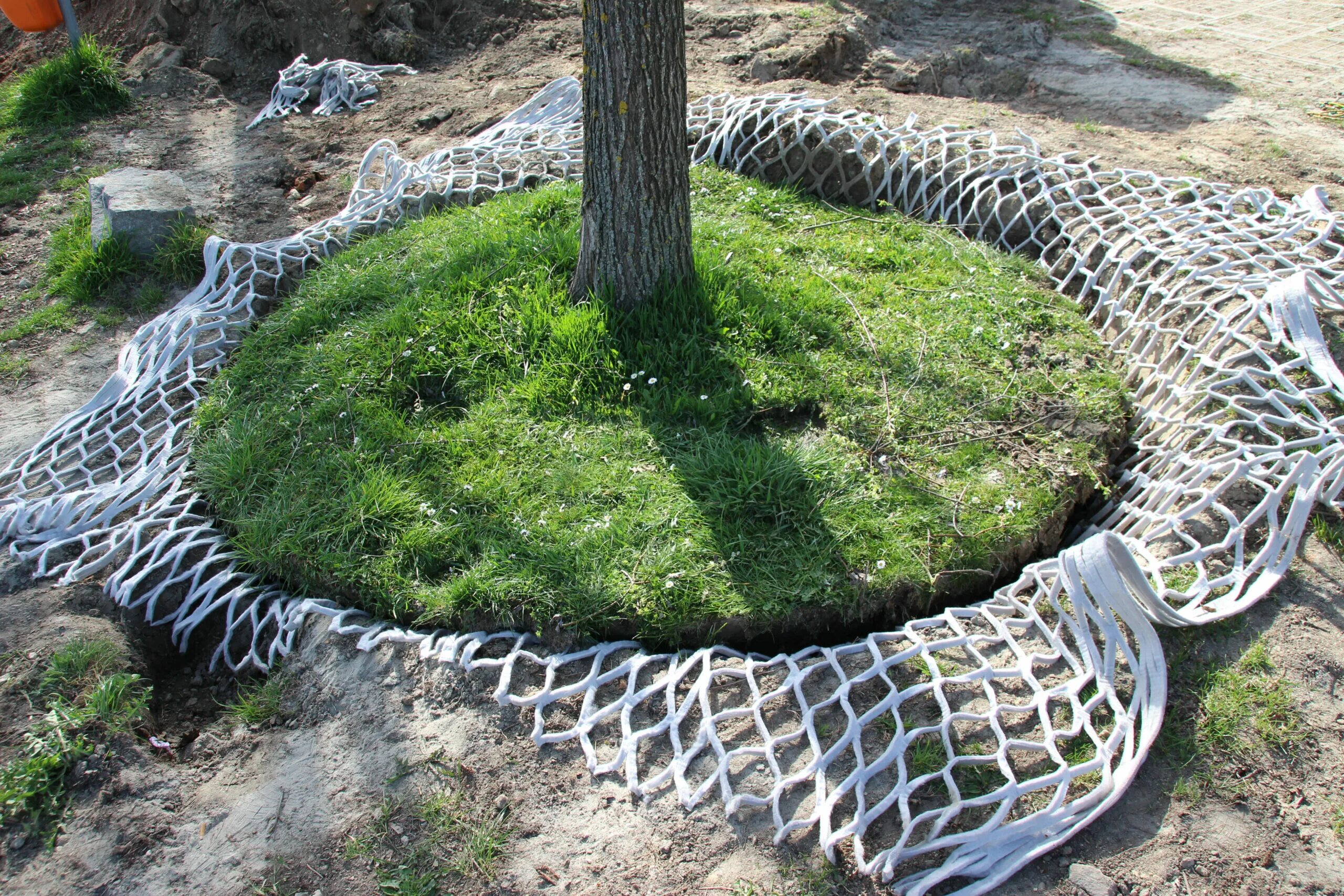 Tree course. Tree course