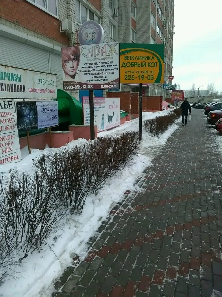 добрый кот ветклиника. ветеринарная клиника медведево марий эл. ветеринарная клиника якутск. добрый кот ветклиника. ветеринарная клиника добрый кот воронеж.