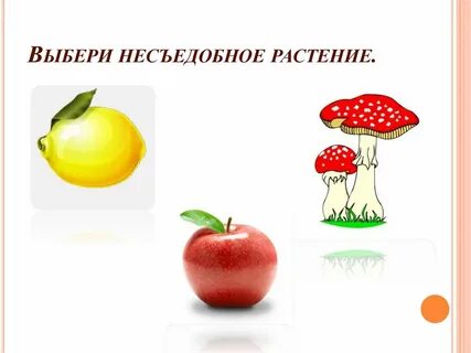Как пишется слово съедобный