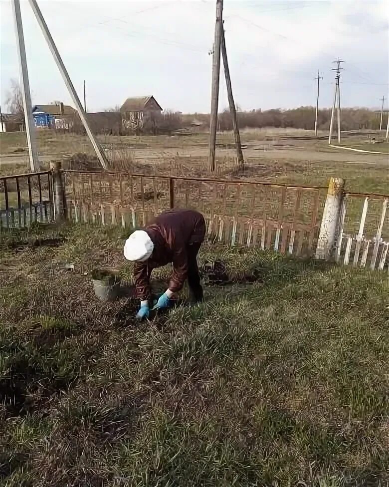Погода в озерки на неделю