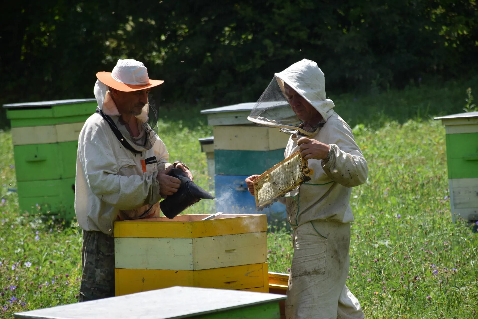 Что делает пчеловод. Пчеловод профессия. Пчеловод сборы. Пчеловод с автоматом.