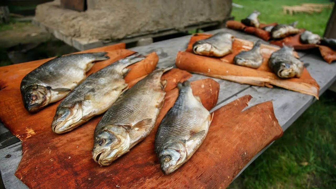 Пища хантов и манси. Народ ханты еда. Национальная кухня хантов и манси. Национальная кухня манси. Еда ханты.