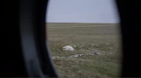 Спас бел