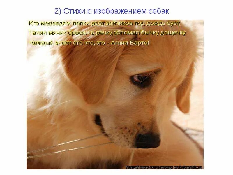 Красивые четверостишья про собак. Стих в память о собаке любимой. Короткое стихотворение про собаку. Стих про собаку короткий. Стихи о собаках душевные.